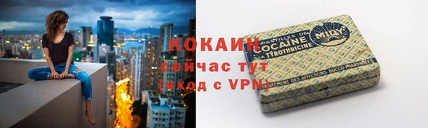 спиды Горно-Алтайск