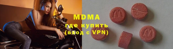 индика Гусиноозёрск
